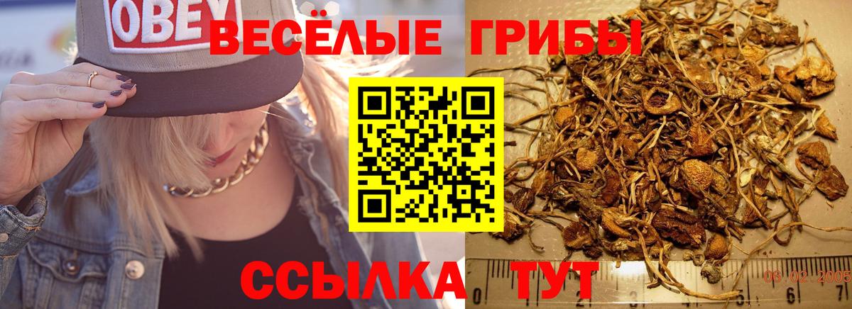 Псилоцибиновые грибы мухоморы  Вход с VPN  Печора 